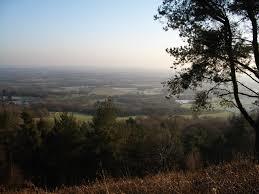 Leith Hill Tower