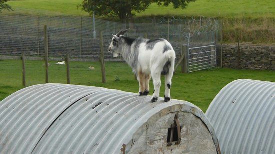 Emsley's Farm Shop
