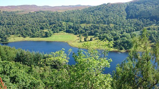 Tay Forest Park
