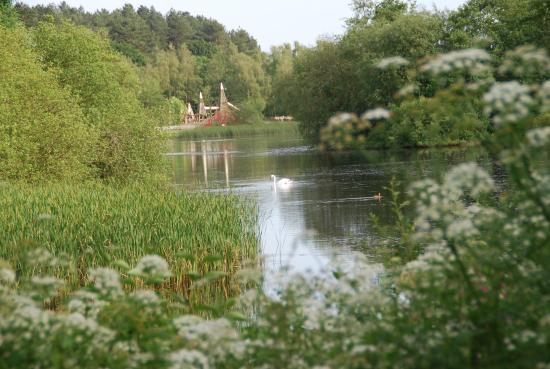 Moors Valley Country Park and Forest