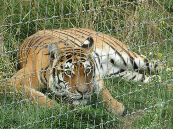 Woodside Wildlife Park