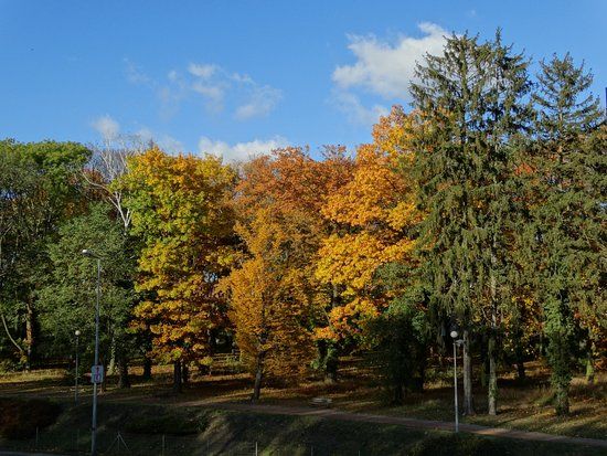 Park Siemiradzkiego