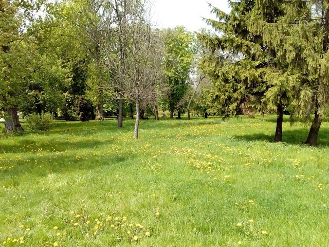 Park Ludowy