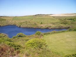 Bakers Pit Nature Reserve