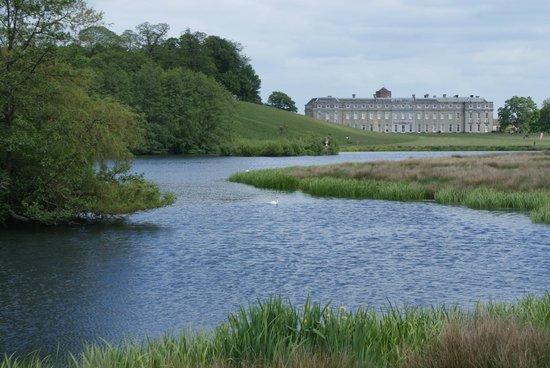 Petworth House and Park