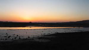 RSPB Adur Estuary Nature Reserve