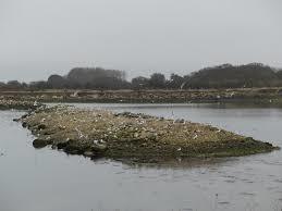 Fowley Island