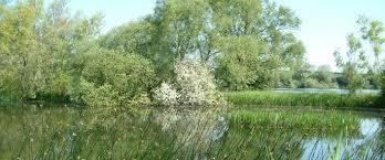 Ditchford Lakes and Meadows