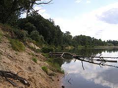 Rezerwat przyrody Wyspy Zawadowskie