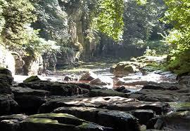 Rokeby Park