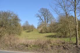 Danesbury Park