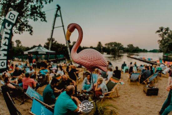 Wake & Roll Park