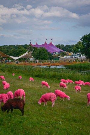Latitude Festival