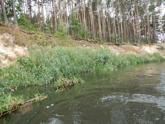 Kraskowka Splyw Kajakowy
