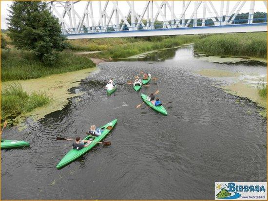 Biebrza-Kayak Rental