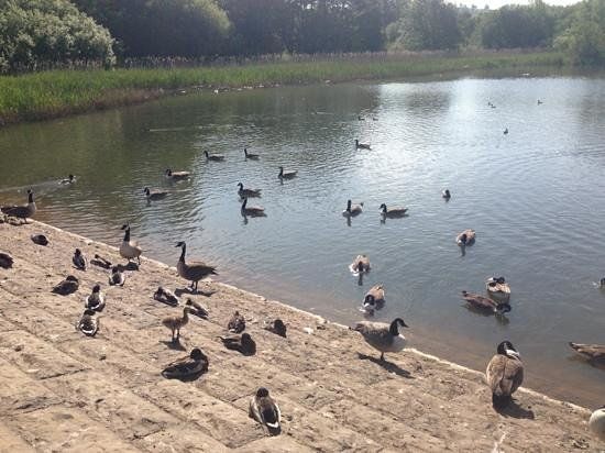 Chew Valley Lake Visitor Center