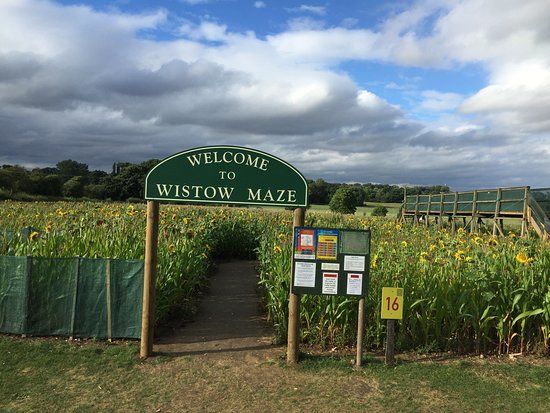 Wistow Maze