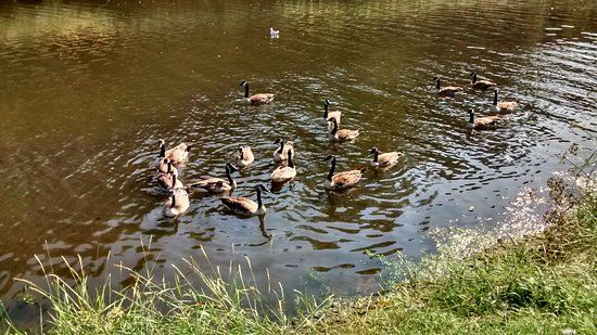 Wansbeck Riverside Park