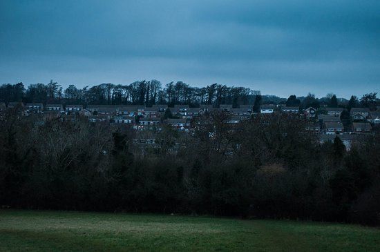 Selsdon Wood Nature Reserve