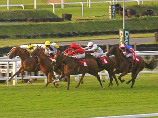 Sandown Park Racecourse