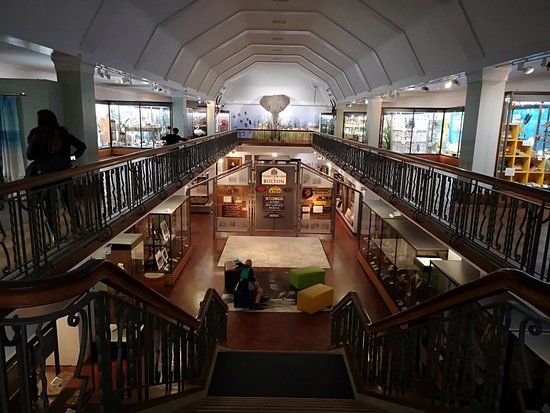 Bolton Library and Museum Services