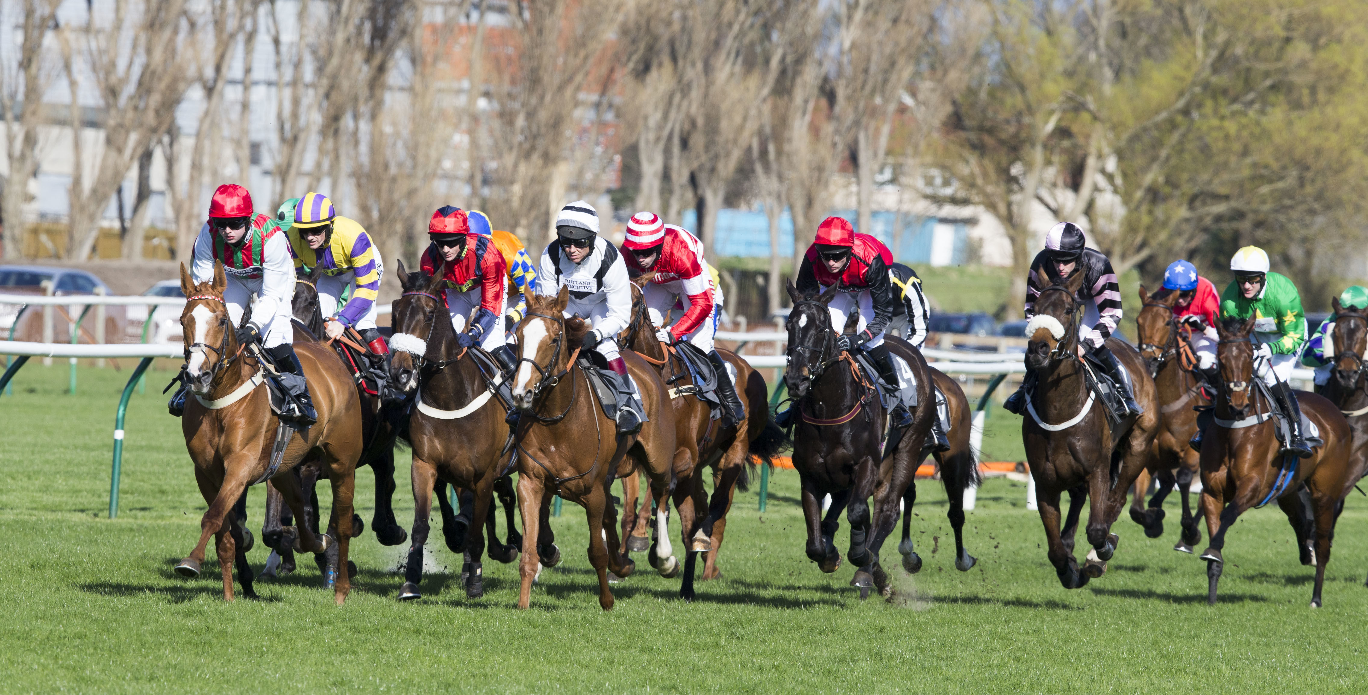 Ayr Racecourse