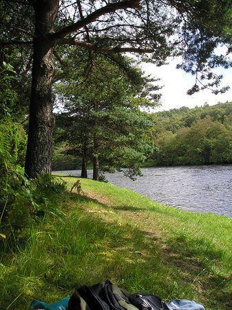 Anagach Woods