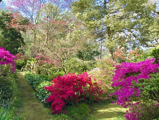 Greencombe Gardens