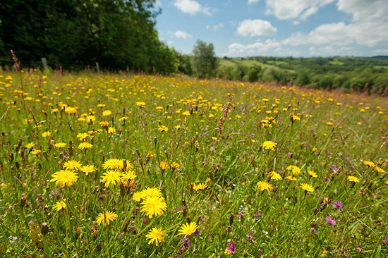 Denmark Farm Conservation Centre