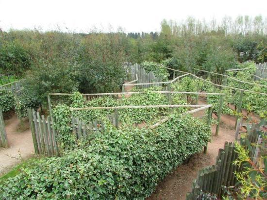 Anker Wood