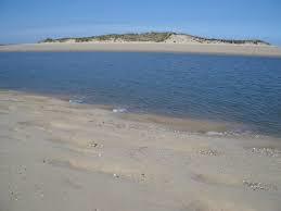 Scolt Head Island National Nature Reserve