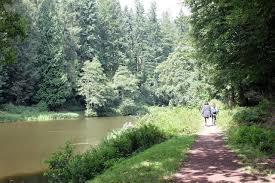 Soudley Ponds