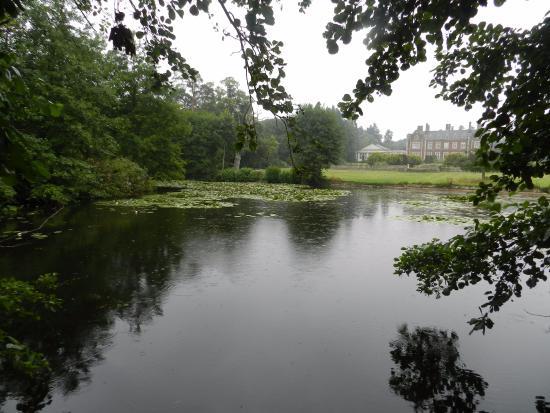 Lynford Arboretum