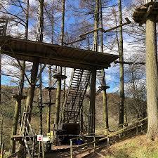 Go Ape Dalby