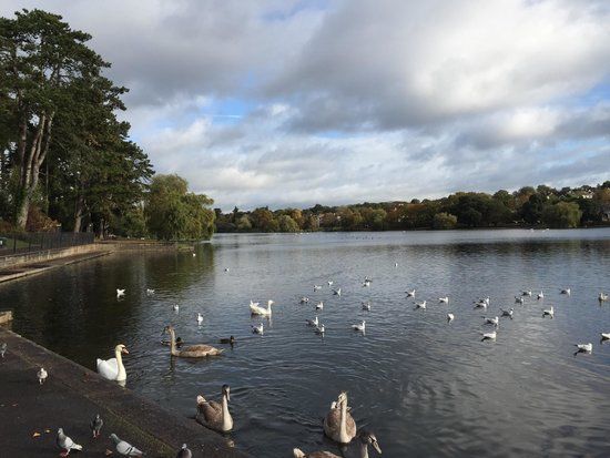 Roath Park