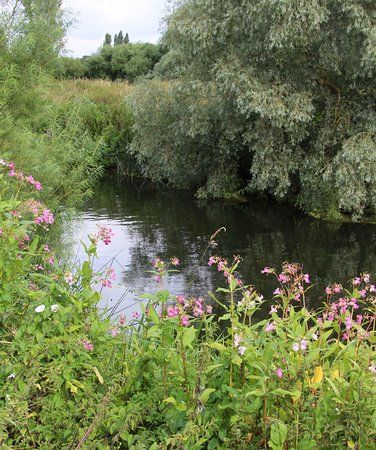 Titchmarsh Nature Reserve