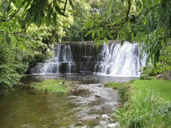 Rutter Force