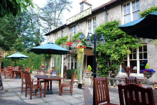 Cedars Inn
